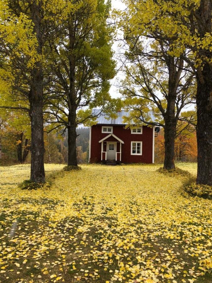 Valagardens Vaerdshus Och Camping Ab Vålådalen Eksteriør bilde