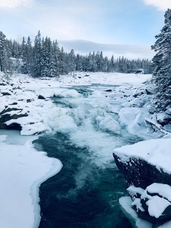 Valagardens Vaerdshus Och Camping Ab Vålådalen Eksteriør bilde